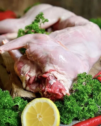 LAPIN entier - origine FRANCE -  vers Hyères, La Londe-les-Maures, Le Boucher Varois