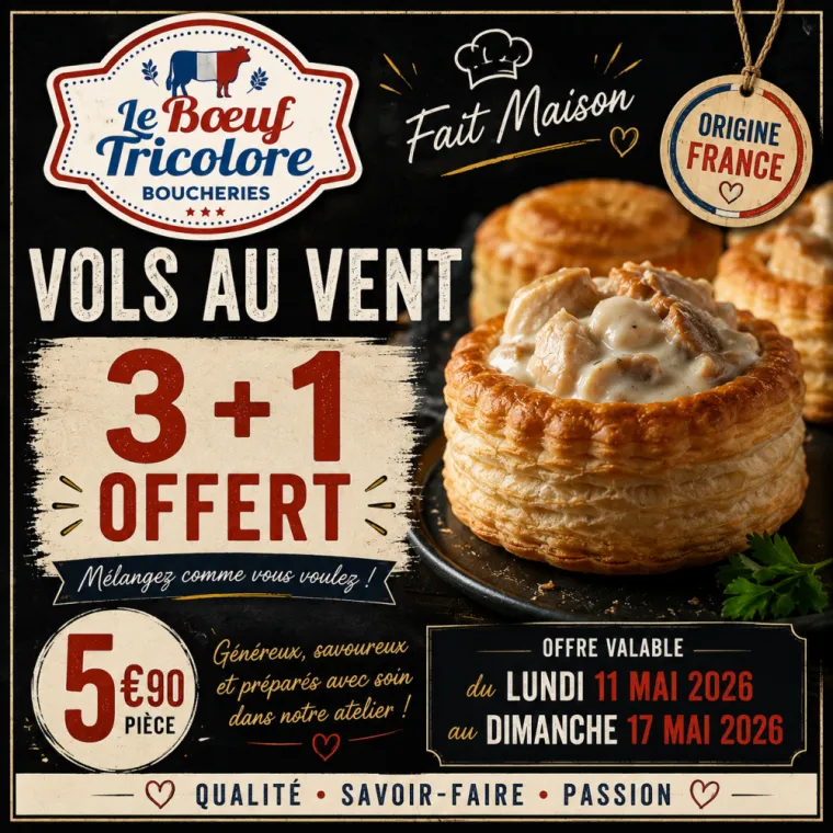 VOL AU VENT - origine France - vers Hyères , La Londe-les-Maures, Le Boucher Varois