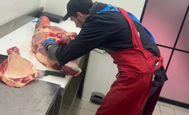 Les apprentis évoluent ..