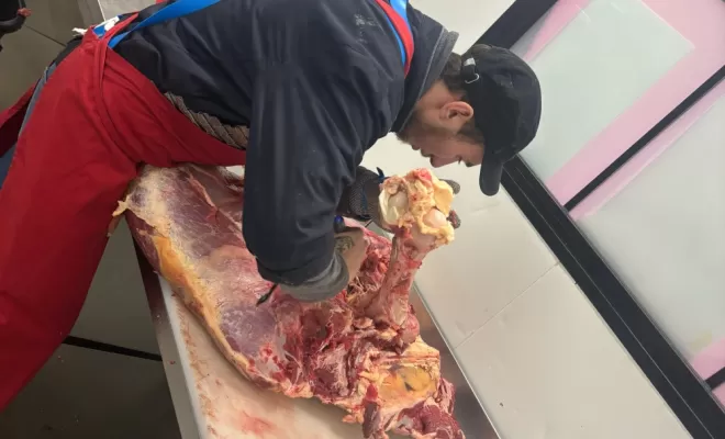 Les apprentis évoluent ..